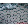 厂家供应各种规格六角网 铁网 镀锌铁网保质量 铁丝网