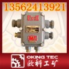 BHD2矿用低压电缆接线盒