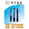 电动液压推杆  DYTP整体直式电液推杆