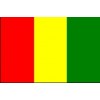 几内亚货物跟踪单