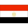 埃及COI符合性认证