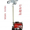 工程亮化灯“升降防爆照明灯”-D-SFW6110B