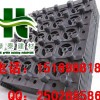 绵阳车库绿化{块状}蓄排水板%广安H20屋顶排水板【低价】