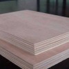 专业生产销售桉木多层板