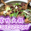 石锅鸡培训石锅鱼技术加盟笨鸭火锅技术培训