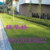 惠州高新区生态植草砖经销商
