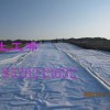 惠州高新区烧毛土工布复合土工布全国供应