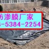 供应甘肃垃圾场优质覆盖膜*人工湖专用土工膜厂家